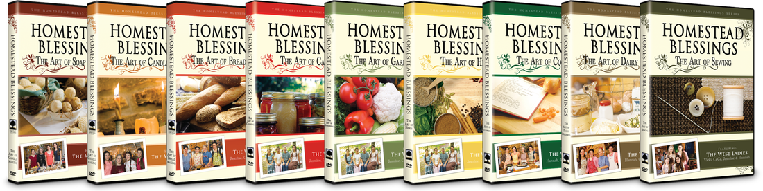 Homestead Blessings - Set of 10 DVD, Vision Video
